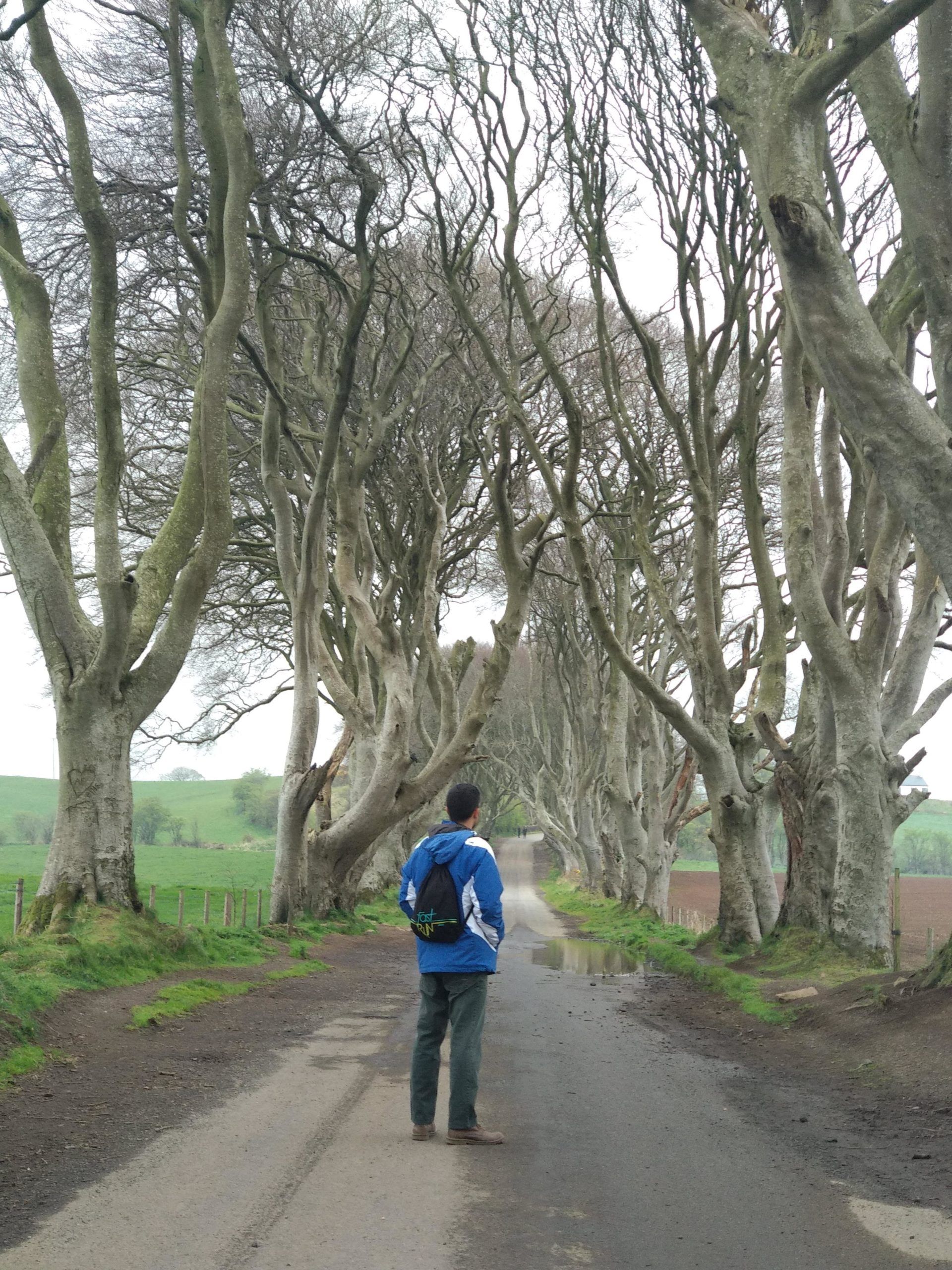 roadtrip en irlanda dark